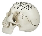 Spiritual Sacred Geometry Sri Yantra Shri Chakra Vastu Symbol Skull Figurine