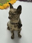 Antique Cold Painted Bronze Chihuahua Figurine  franz Bergmann  