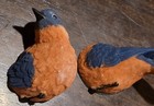 4  Bluebird Fly Through Sliding Door Window Magnet 3d Resin Blue Bird Robin