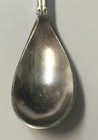 Vintage Souvenir Spoon Collectible Midwinterhoorn Twente Netherlands