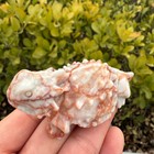 Natural Red Network Stone Lizard Skull Quartz Crystal Carved Reiki Healing