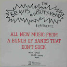 The Beavis And Butt-head Experience New Original 1993 Us Promo 12  Poster Flat