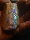 Brilliantly Colored Baculite iridescent opalized ammolite Gemstone
