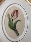 Pair Antique Victorian Botanical Floral Watercolor Flowers Romantic