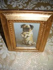 Pug Dog Sits Up Small 2 1 2 X 3 1 2 Gold Stand-up Framed Victorian Style Print