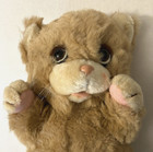 Vintage Applause Little Beggar Kitten 1984 Plush Stuffed Animal 13 Inches Rare