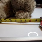 Faux Mohair Teddy  Bear With Scarf