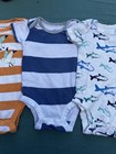 3 Month Lot