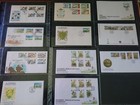 Guernsey  Alderney  Jersey   Isle Of Man 1969 - 1996 Fdcs In 6 Safe Albums