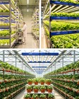 Ctlite Fd4000 Led Grow Light W lm281b Diode 350w Dimmable 4x4ft Indoor Veg Bloom