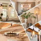 60 Watt Incandescent Edison Light Bulbs  Vintage Dimmable E26 Bulbs 2200k St64