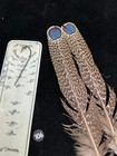 Malayan Peacock Pheasant  Eye Feathers  106