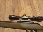 Gamo Magnum Gr  25