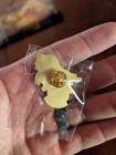 Federal Air Marshal Pigs Fly Pin