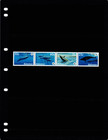  4 50 Scott Value - 2007 Bahamas Beaked Whales Caribbean Atlantic Cv Mnh Nh Umm
