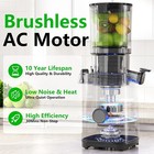 Cold Press Juicer Machines  5 3  Large Feed Chute 99  Juice Yield  Ultra Quiet