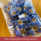 Blue Lotus Whole Flower Egyptian Lotus Thai Blue Nymphaea N caerulea  Siamese