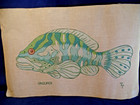 Vtg Large Handpainted Needlepoint Canvas Grouper Fish 26 5  X 17  Unworked