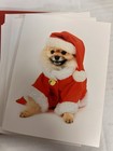 Dog Christmas Cards 11 Santa Dog Cards  And 7 Green Dog Cards With Envelopes