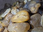 39  Lbs Of Montana Agate Rough For Tumbling   