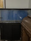 72 Gallon Bow Front Fish Tank And Stand  Great For Aquarium Local Pick Up Only 