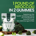 Neurobrocc Sulforaphane Supplement Gummies     Vegan Broccoli Sprout Extract With