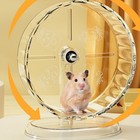 Extra Large Hamster Wheel Freestanding Hamster Rat Mice Exercise Wheel