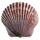 El4-017 Fwl U s  Fish And Wildlife Service Sterling Silver Plated Seashell Chall