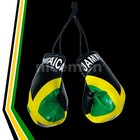 Jamaica Mini Boxing Gloves Flag Car Rearview Ornament Jamaican Reggae Flag 4 