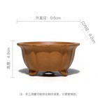 Chinese Zisha Classical Miniature Flower Pot Acorus Succulent Bonsai Pot