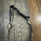 Arab Arabian Minature Horse  Show Halter - Small medium Size