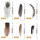40 48pcs Mixed Feathers 6 Styles Peacock Feathers Diy Crafts Pheasant Plumage