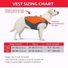 Kong Hunter Reflective Dog Hunting Safety Vest High Visibility Outdoor Walking