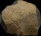 Hand Scraper Tool West Texas Stone Artifact Native American Prehistoric