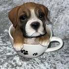 Boxer Dog Puppy Sitting In Coffee Cup With Paw Prints Resin Figurine 6 h