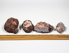 Calandria Agate Nodules - Rough Rocks For Lapidary cabochon - Bulk Wholesale
