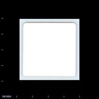 Square Color Photo Woman With Glasses Plaid Pants