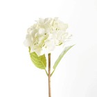 Hydrangea Stems 18   Set Of 6