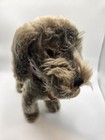 Steiff Raudi Dachshund 1960s Dog 23cm 9in Id Button Tags Mohair Squeaker Vtg