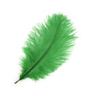 5 25 Pcs Wholesale High Quality Natural Ostrich Feathers For Party Wedding Decor
