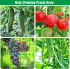 Trellis Netting  Heavy-duty Garden Grow Netting For Climbing Plants  Outdoor    