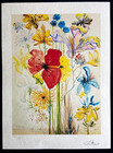 Salvador Dal   Lithograph Coa Original Signed Numbered In Pencil
