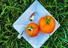 Indian Tomato   Desi Tomato Heirloom 50  Seeds 100  Organic Non Gmo Grown In Usa