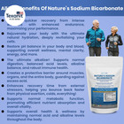 Nature   s Sodium Bicarbonate Organic Use Aluminum Free Baking Soda  No Chemical P