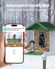 Smart Bird Feeder Camera With Ai    Solar Powered  2 5k Hd For Garden