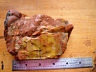 Arizona Rainbow Petrified Wood Natural State Beautiful 15 8 Oz Faced Chunk