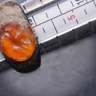 Authentic Roman Bronze Intaglio Ring Gryllos Magical Gem  ad 3rd Century  Bronze