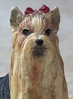 Yorkshire Terrier Pill jewelry Ring Box W  Gold Tone Trim 1 75    Wide 2 25    Tall