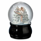 Swan Lake Ballet Water Globe San Francisco Music Box