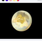 Weeber Type Celluloid Pears Vintage Button Multi-component Fruit